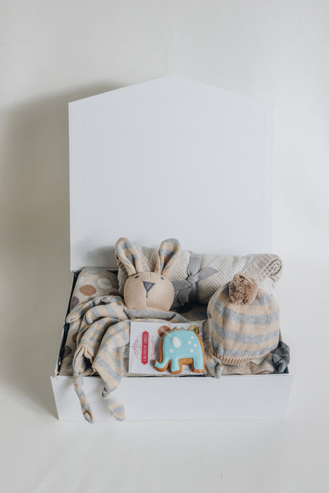 Welcome baby blanket and comforter set/ sold out