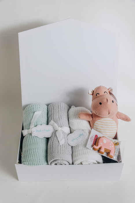 Nana Huchy Hippo Baby Hamper